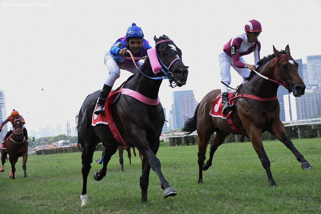 Koran vence GP Presidente Mrcio Corra de Toledo (G.3), no Hipdromo Paulistano