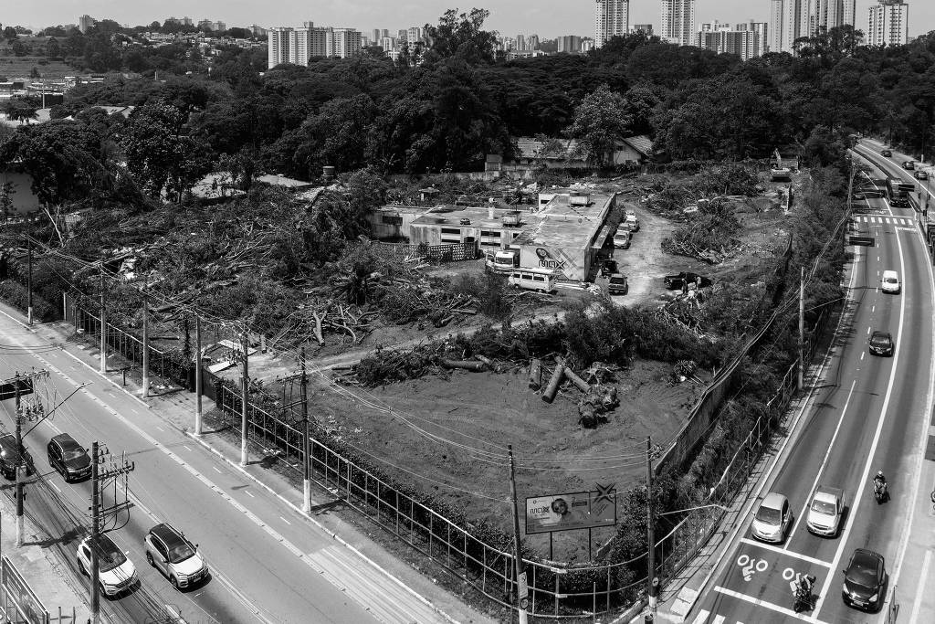 Preservar as �rvores do Butant�