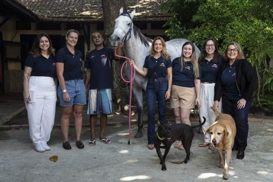 De fisioterapeuta a treinadora, grupo de proprietrias cotistas de cavalos chama ateno no Joquey