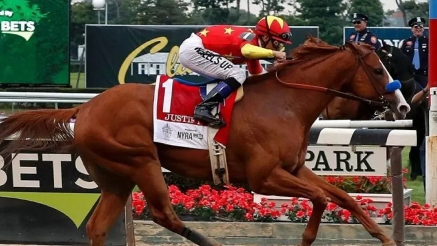 R$ 440 milhes e j aposentado: este  o cavalo mais caro do mundo