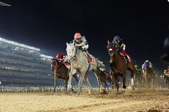 Hit Show vence Dubai World Cup e deixa favorito Forever Young na terceira posio