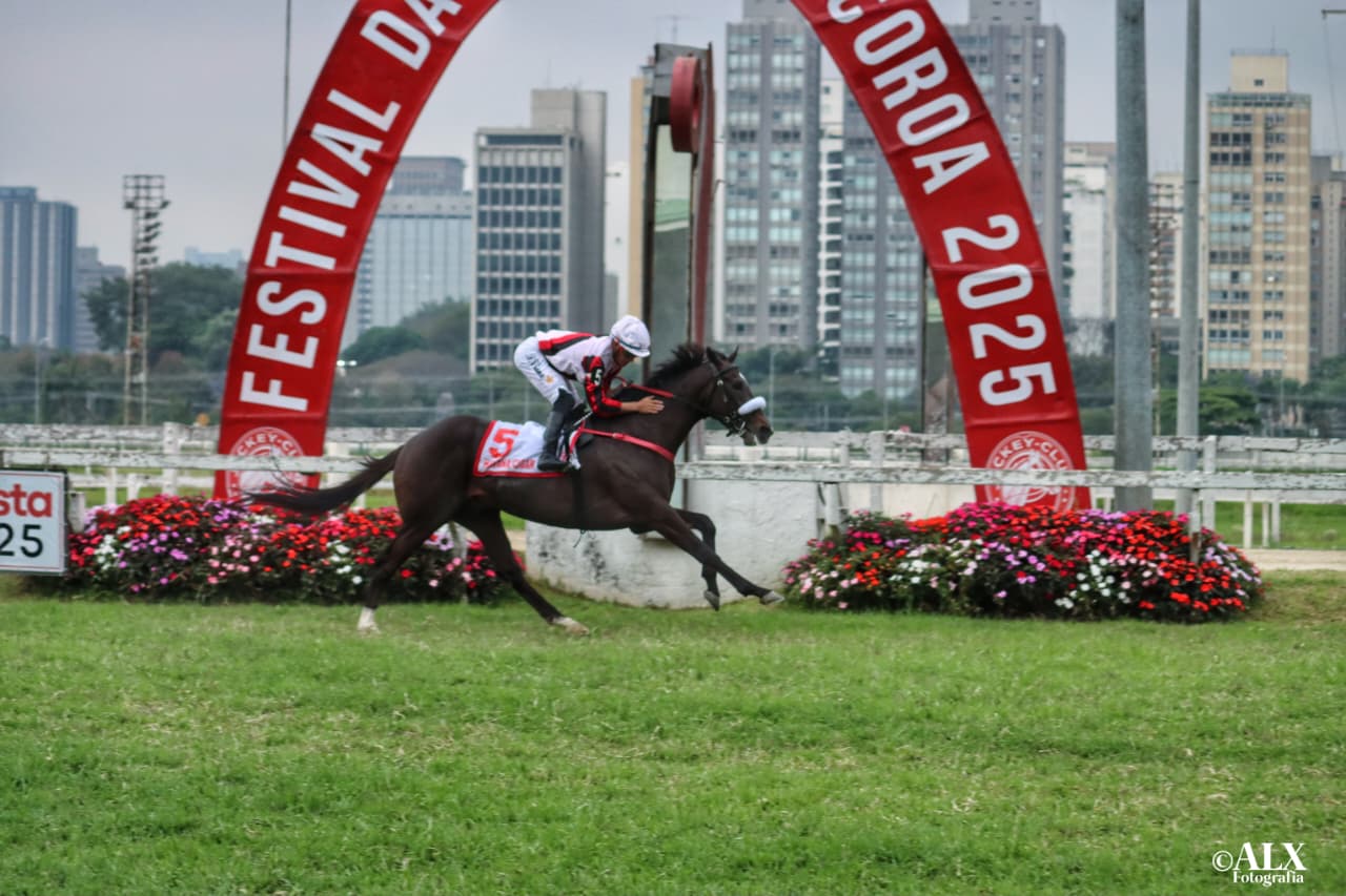 Havana Cigar conquista o GP Derby Paulista, no hip�dromo de Cidade Jardim