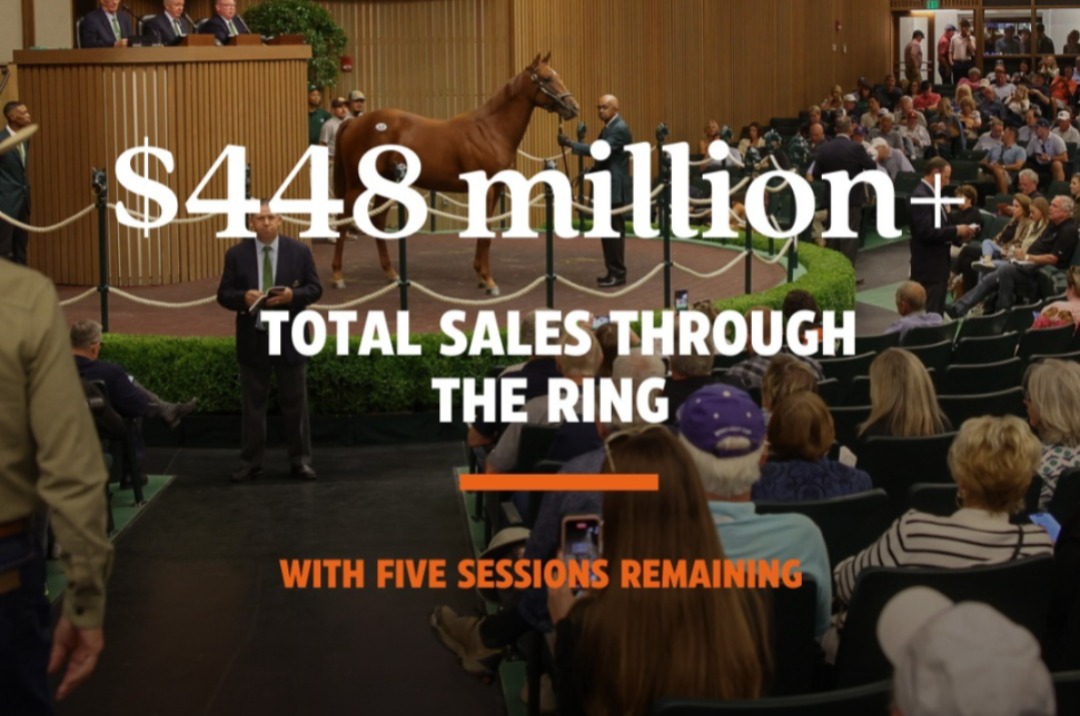 No turfe norte-americano, leilo de potros de Keeneland atinge recorde de vendas