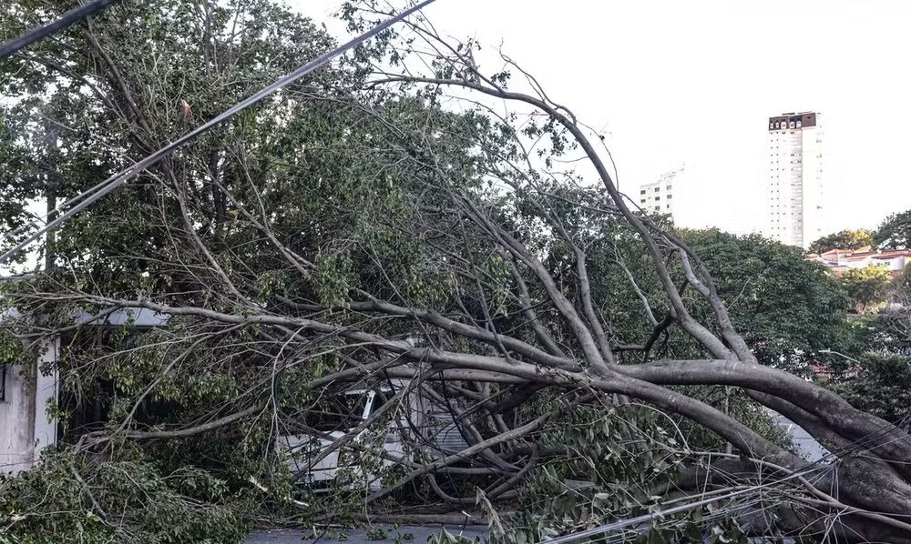 Enel diz que ainda n�o h� previs�o para restabelecimento total da energia em SP, diz jornal