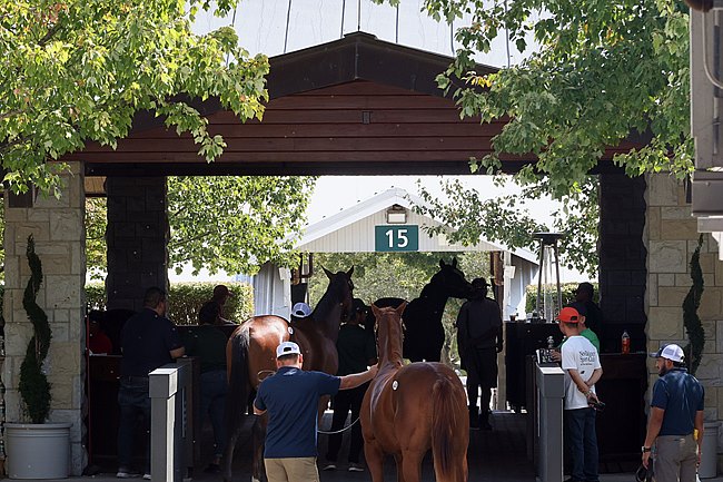 Leiles de potros em Keeneland atingem recorde de US$ 531,6 milhes em vendas