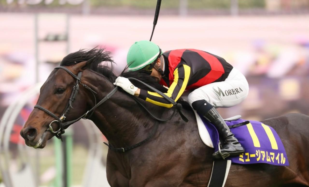 Jquei brasileiro Joo Moreira vence os 2000 Guinus com Museum Mile, no Japo