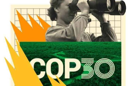 Inc�ndio na Zona Azul foi anticl�max de uma COP tropical pautada pela esperan�a, por Luiz Carlos Azedo