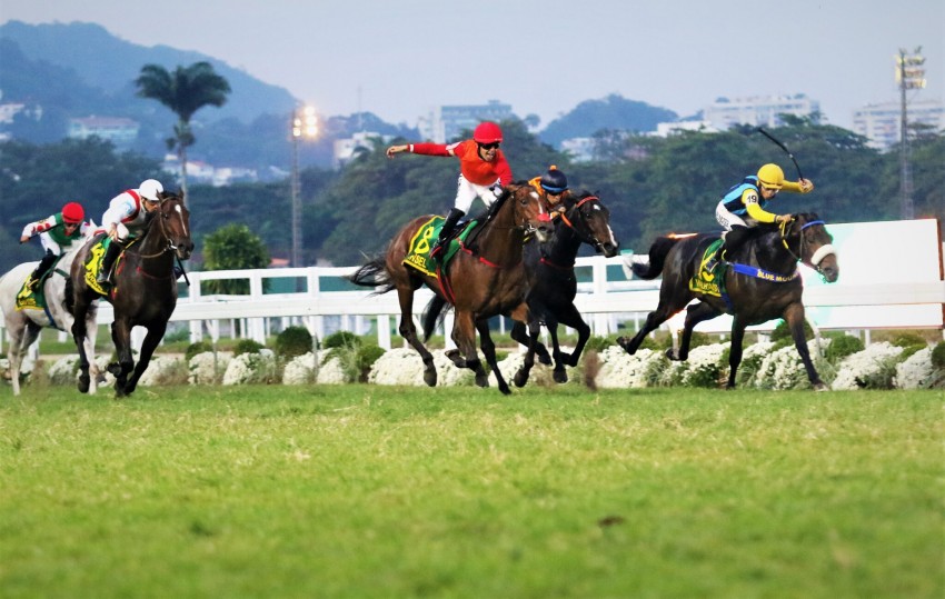 Sinsel vence GP Brasil, depois de comemorao antecipada do jquei que quase lhe custa o preo