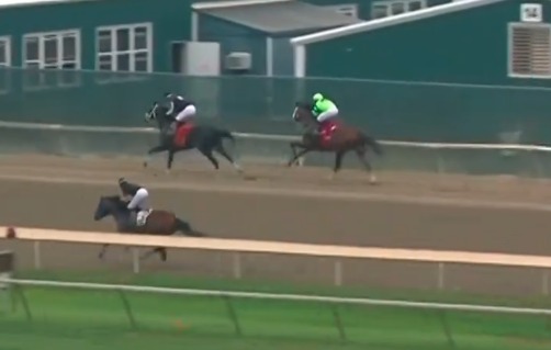 Jquei venezuelano no venceu, mas foi o grande heri da jornada em Parx, na Pensilvnia