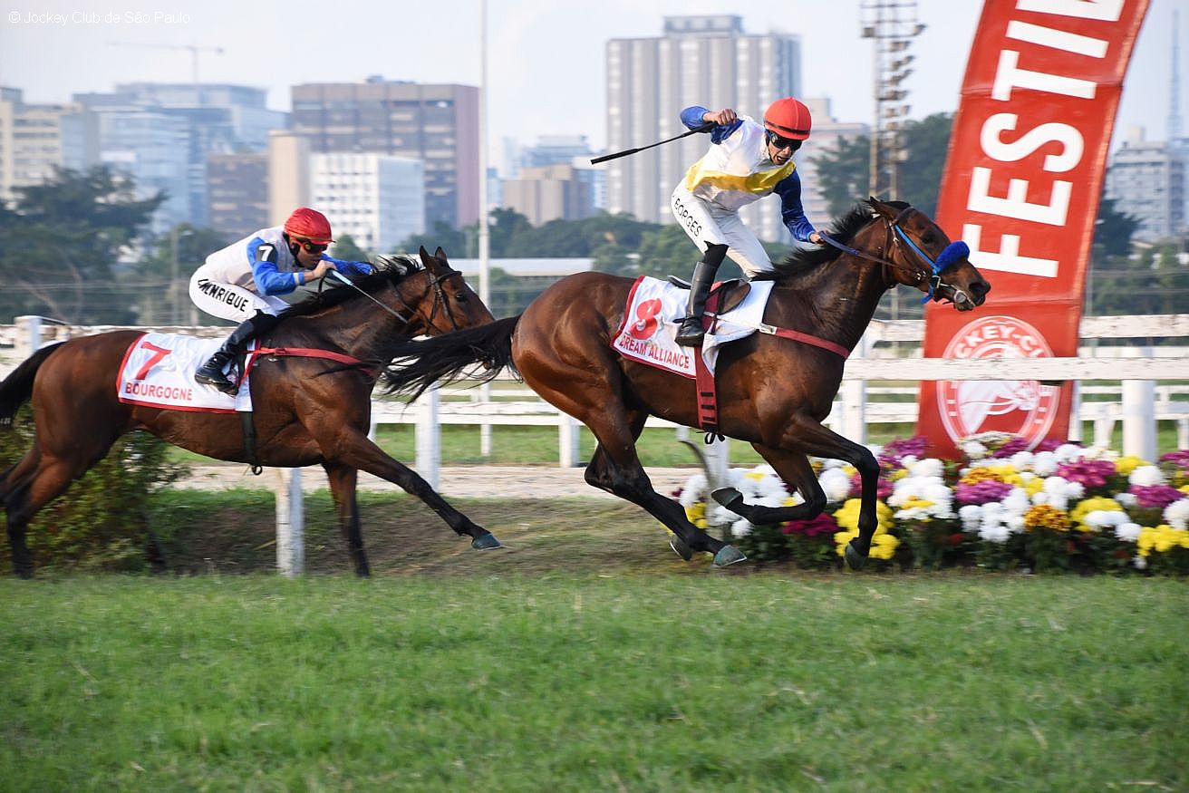 Dream Alliance e Bourgogne, dobradinha da Fazenda Mondesir no GP So Paulo