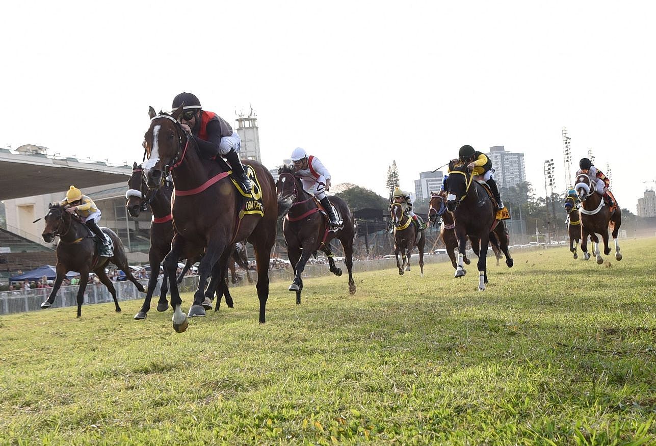Dono da melhor campanha do turfe brasileiro, Obataye conquista o GP Matias Machline